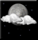 Partly cloudy Partly cloudy